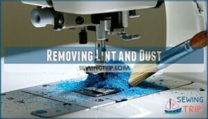 removing lint and dust removing lint and dust