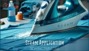 steam application