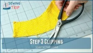 step 3 clipping