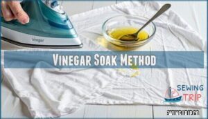 vinegar soak method
