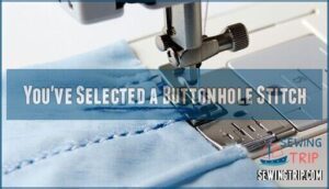 you've selected a buttonhole stitch