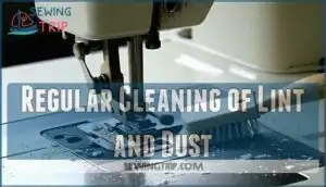 regular cleaning of lint and dust regular cleaning of lint and dust