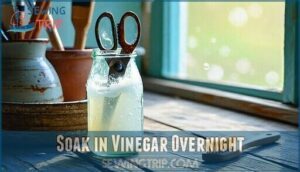 soak in vinegar overnight
