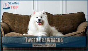 tweed drawbacks