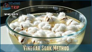 vinegar soak method