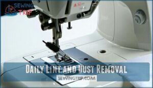 daily lint and dust removal