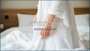 egyptian cotton egyptian cotton