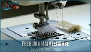 feed dog maintenance