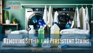 removing set-in and persistent stains