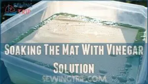 soaking the mat with vinegar solution