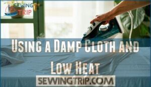using a damp cloth and low heat
