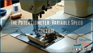 the potentiometer: variable speed control