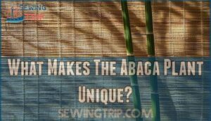 what makes the abaca plant unique