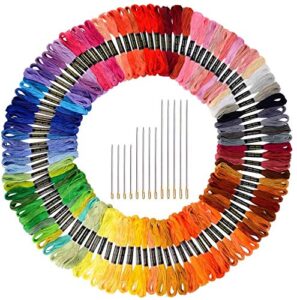8 Best Threads for Embroidery: Types, Tips & How to Choose 2 Paxcoo 124 Skeins Embroidery Floss B0747JY5Q2