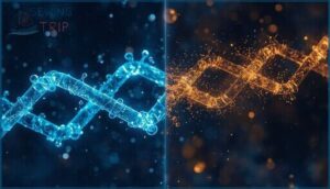chemical structure and composition chemical structure and composition
