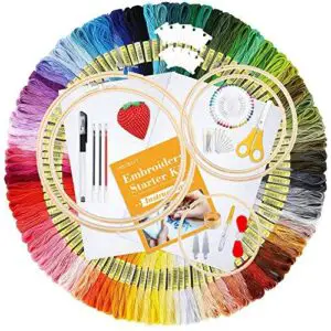10 Best Embroidery Starter Kits for Beginners (2026) 5 INSCRAFT 304 Pack Embroidery Kit, B087RB2K2B