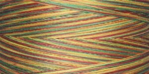 Best Free Machine Embroidery Designs: Download, Stitch & Succeed 5 Superior Threads King TUT Quilting B003WMLZDY