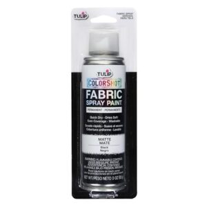 Can Fabric Be Spray Painted? How to Do It Right 2 Tulip ColorShot Instant Fabric Spray B00UY194NE